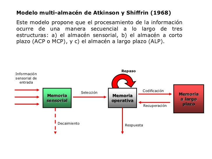Procesamiento de la información