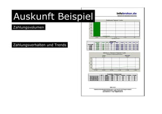 Auskunft Beispiel
Zahlungsvolumen
Zahlungsverhalten und Trends
 