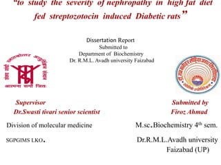 “to study the severity of nephropathy in high fat diet
fed streptozotocin induced Diabetic rats”
Dissertation Report
Submitted to
Department of Biochemistry
Dr. R.M.L. Avadh university Faizabad
Supervisor Submitted by
Dr.Swasti tivari senior scientist Firoz Ahmad
Division of molecular medicine M.sc.Biochemistry 4th sem.
SGPGIMS LKO. Dr.R.M.L.Avadh university
Faizabad (UP)
 