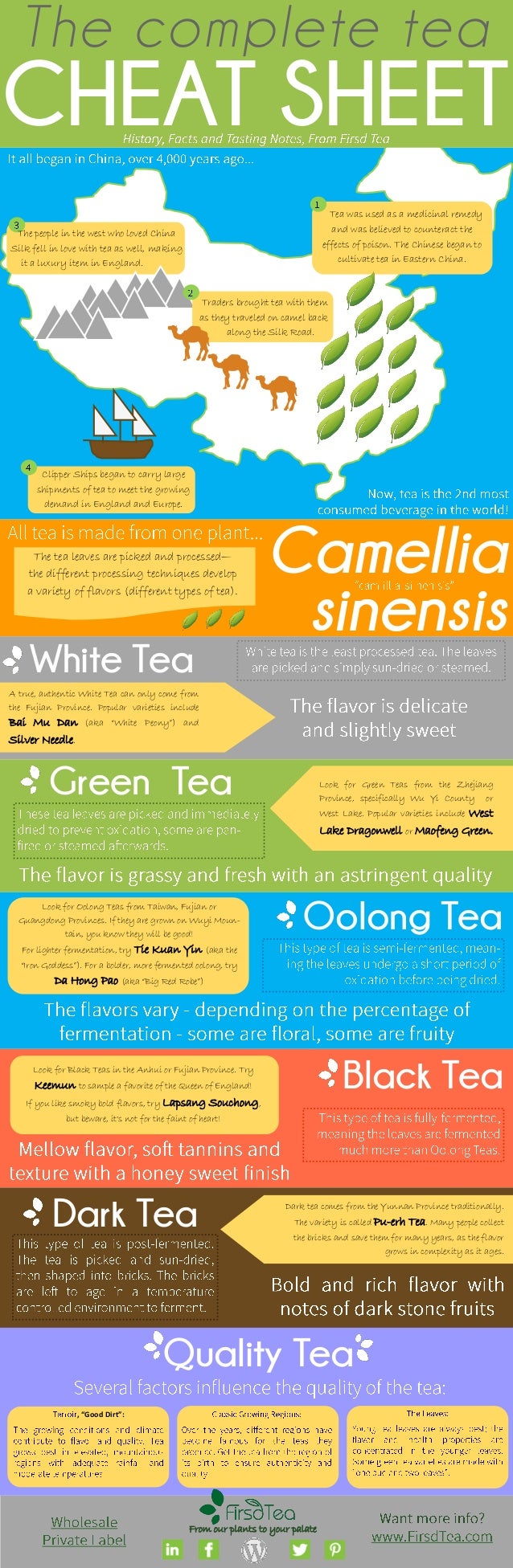 Firsd tea tea facts cheat sheet