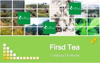 Firsd Tea
Company Overview
 