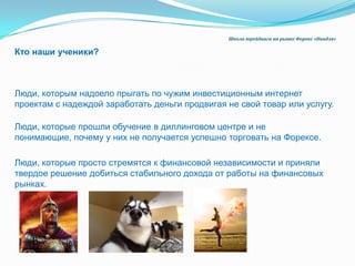 forex решения