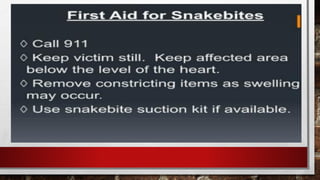 First-Aid-1 (1).pdf