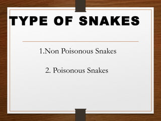 1.Non Poisonous Snakes
2. Poisonous Snakes
TYPE OF SNAKES
 