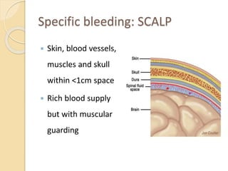 Specific bleeding: SCALP
 Skin, blood vessels,
muscles and skull
within <1cm space
 Rich blood supply
but with muscular
guarding
 