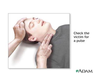 first-aid CPR Training to save someone life in cardiac arrest | PPT