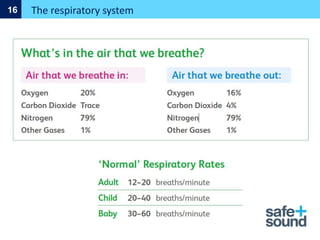 The respiratory system
16
 