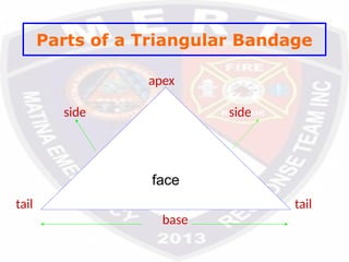 Parts of a Triangular Bandage
apex
side side
tail tail
base
face
 