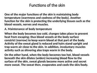 Functions of the skin
One of the major functions of the skin is maintaining body
temperature (warmness and coolness of the body). Another
function for the skin is protecting the underlying tissues such as the
blood vessels, nerves and muscles.
A. Maintenance of body temperature
When the body becomes too cold, changes takes place to prevent
heat from escaping; thus blood vessels at the body surface
constrict (narrow) to keep warm blood at that part of the body.
Activity of the sweat gland is reduced and hairs stand upright and
trap warm air close to the skin. In addition, involuntary muscles
activity such as shivering also traps warm in the body.
On the other hand, when the body becomes too hot, blood vessels
beneath the skin dilates (widen) increasing blood flow to the
surface of the skin, sweat glands become more active and secret
more sweat. The sweat then, evaporates and cools the skin/body.
 