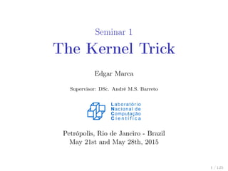 Seminar 1
The Kernel Trick
Edgar Marca
Supervisor: DSc. André M.S. Barreto
Petrópolis, Rio de Janeiro - Brazil
May 21st and May 28th, 2015
1 / 125
 