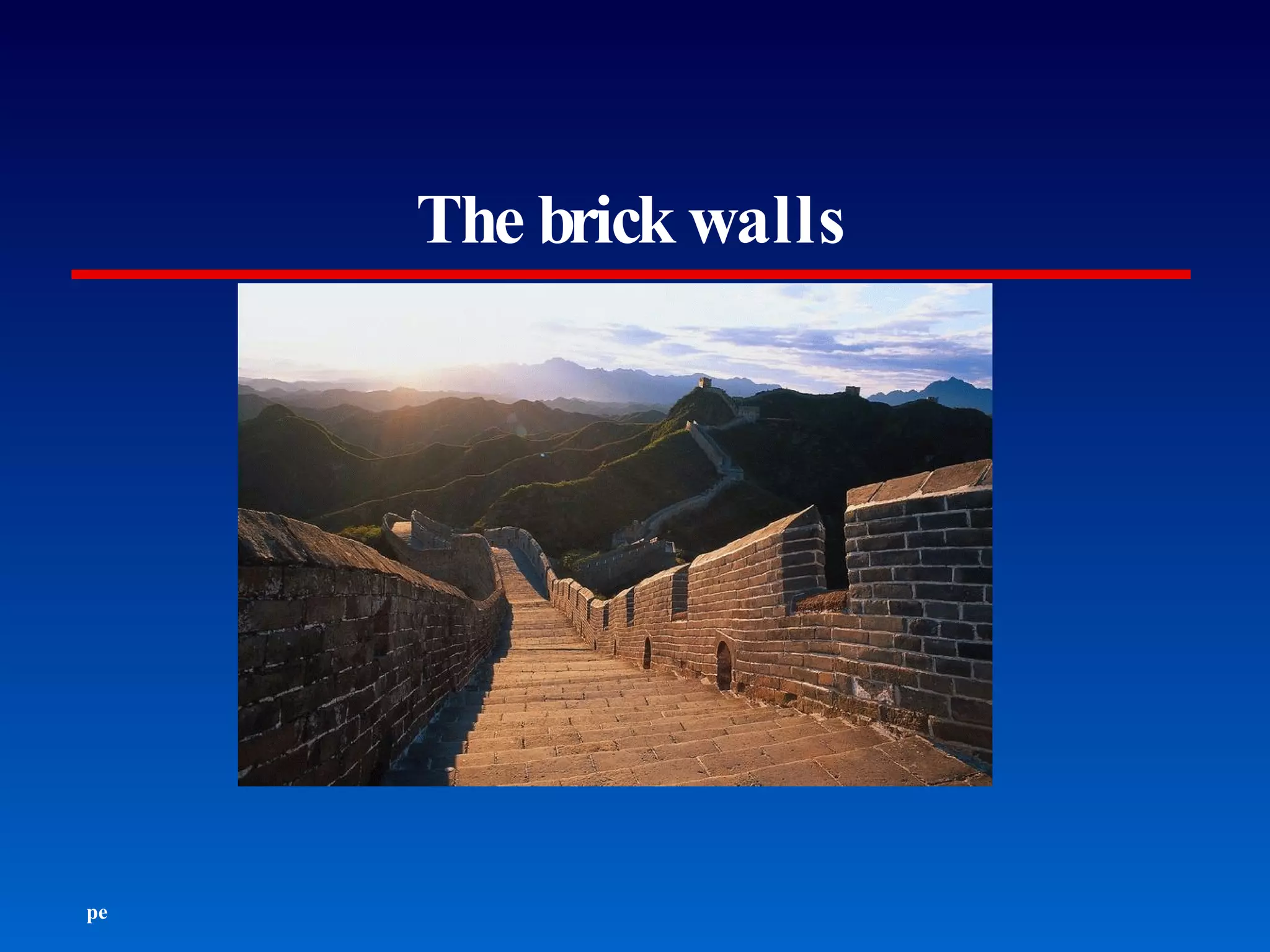 The brick walls The brick walls are not there to keep us out.  The brick walls are there to give us a chance to show how badly we want something.  The brick walls are there to stop the people who don’t want it badly enough.  They’re there to stop other pe ople. ... Sometimes the brick walls are made of flesh.  (Pausch) 
