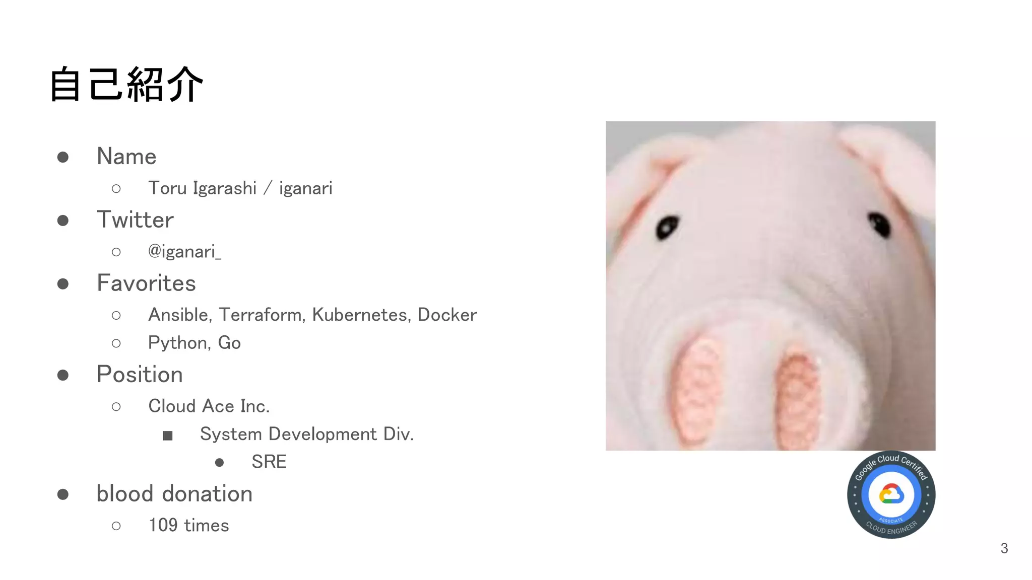 自己紹介 
● Name 
○ Toru Igarashi / iganari  
● Twitter 
○ @iganari_ 
● Favorites 
○ Ansible, Terraform, Kubernetes, Docker  
○ Python, Go 
● Position 
○ Cloud Ace Inc. 
■ System Development Div.  
● SRE 
● blood donation 
○ 109 times 
3
 