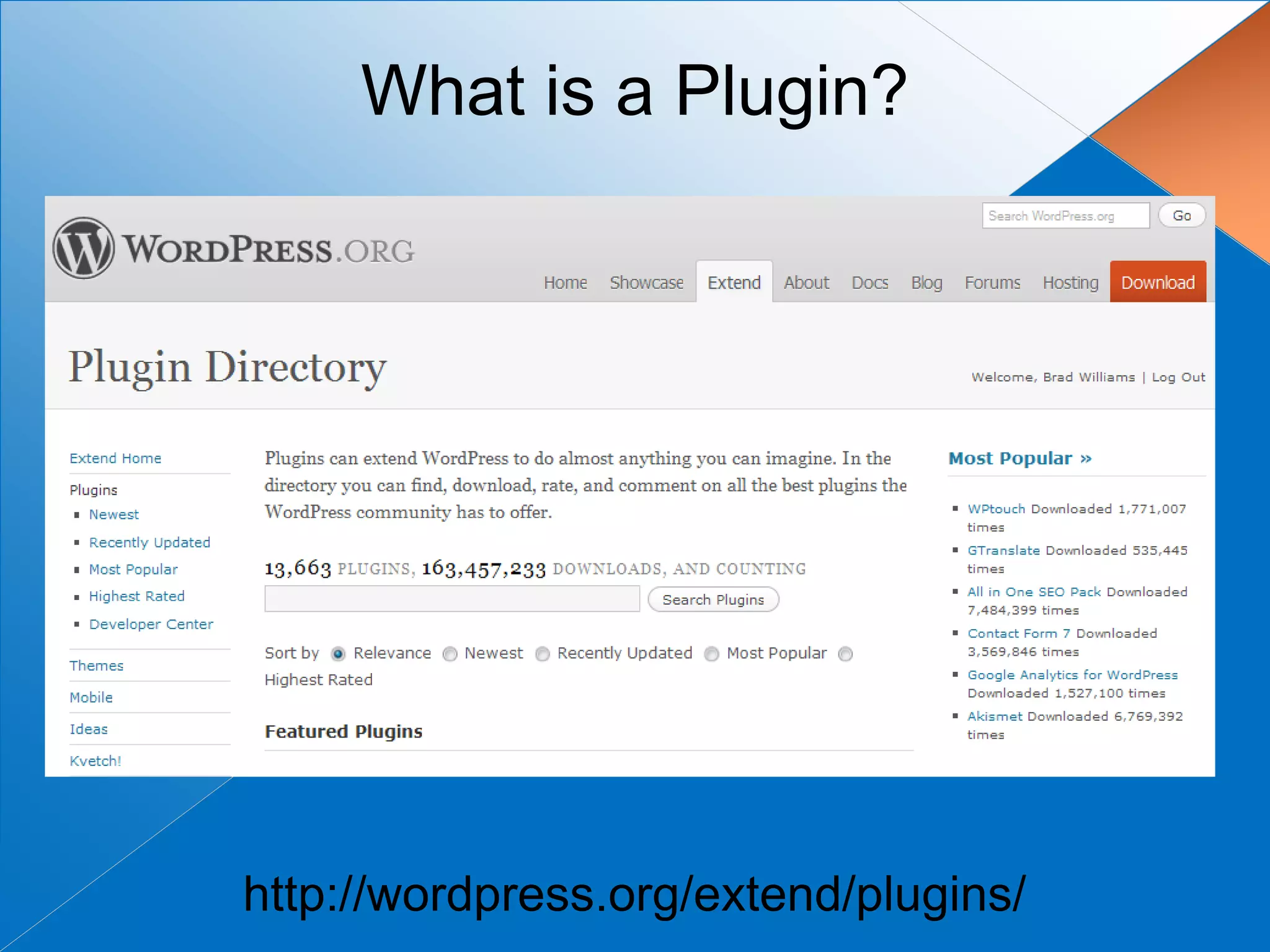 What is a Plugin?




http://wordpress.org/extend/plugins/
 