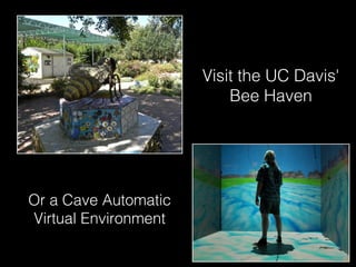 Visit the UC Davis'
Bee Haven
Or a Cave Automatic
Virtual Environment
 