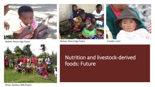 Livestock-derived foods and the first 1000 days: The essential role of livestock-derived foods in the nutrition of mothers and infants