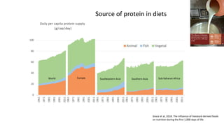 Livestock-derived foods and the first 1000 days: The essential role of livestock-derived foods in the nutrition of mothers and infants