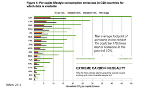 Livestock-derived foods and the first 1000 days: The essential role of livestock-derived foods in the nutrition of mothers and infants