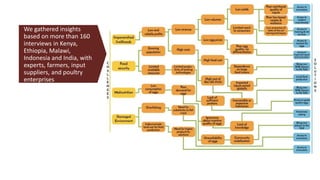 Livestock-derived foods and the first 1000 days: The essential role of livestock-derived foods in the nutrition of mothers and infants