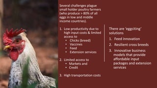 Livestock-derived foods and the first 1000 days: The essential role of livestock-derived foods in the nutrition of mothers and infants