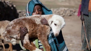 Livestock-derived foods and the first 1000 days: The essential role of livestock-derived foods in the nutrition of mothers and infants