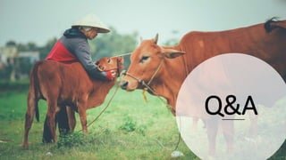 Livestock-derived foods and the first 1000 days: The essential role of livestock-derived foods in the nutrition of mothers and infants