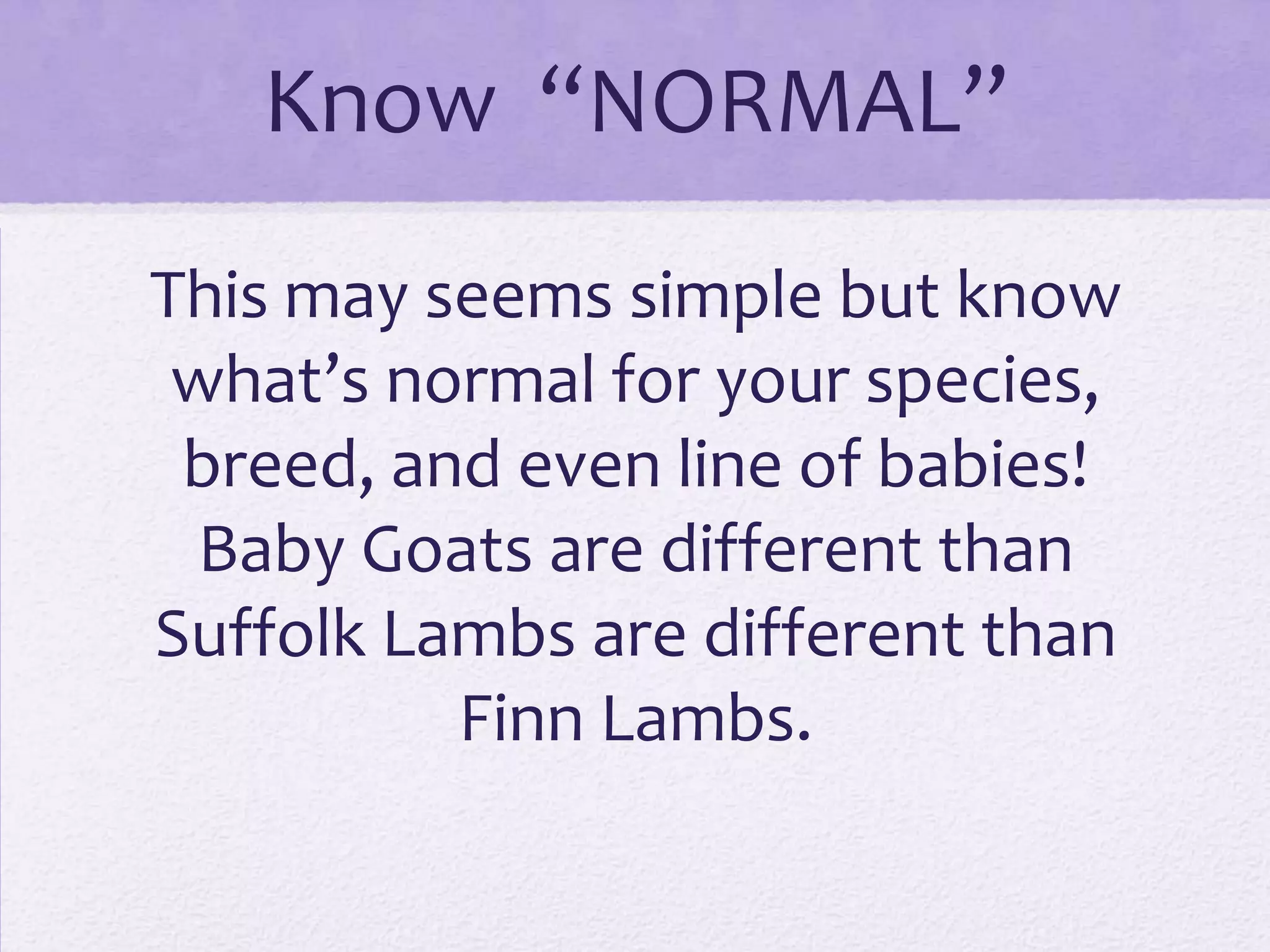 Know “NORMAL”
This may seems simple but know
what’s normal for your species,
breed, and even line of babies!
Baby Goats are different than
Suffolk Lambs are different than
Finn Lambs.

 