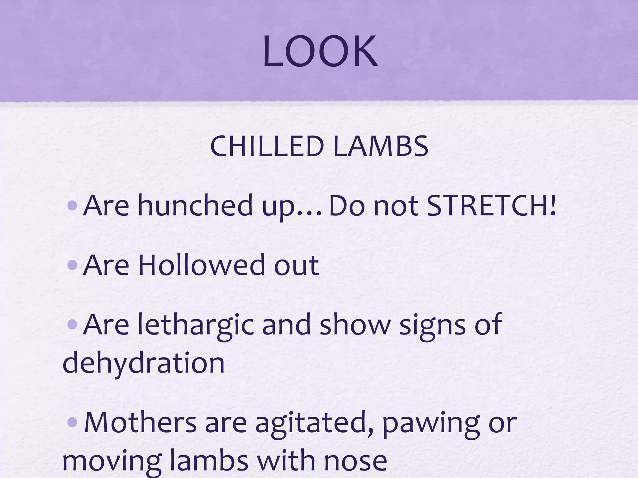 LOOK
CHILLED LAMBS
•Are hunched up…Do not STRETCH!

•Are Hollowed out
•Are lethargic and show signs of
dehydration
•Mothers are agitated, pawing or
moving lambs with nose

 
