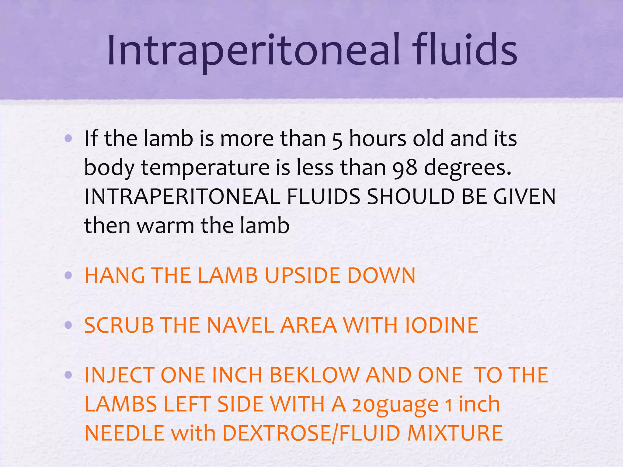 Intraperitoneal fluids
• If the lamb is more than 5 hours old and its
body temperature is less than 98 degrees.
INTRAPERITONEAL FLUIDS SHOULD BE GIVEN
then warm the lamb
• HANG THE LAMB UPSIDE DOWN
• SCRUB THE NAVEL AREA WITH IODINE

• INJECT ONE INCH BEKLOW AND ONE TO THE
LAMBS LEFT SIDE WITH A 20guage 1 inch
NEEDLE with DEXTROSE/FLUID MIXTURE

 