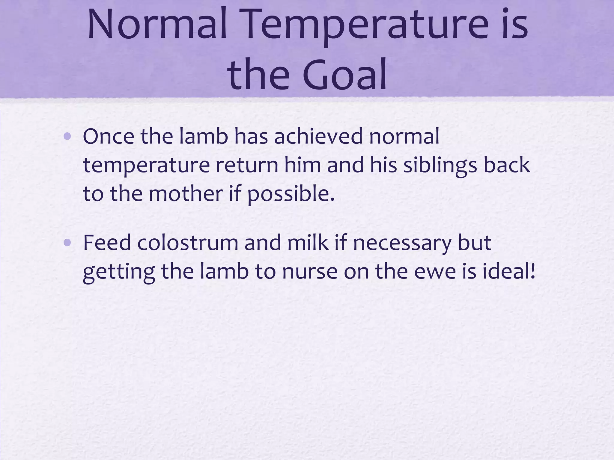 Normal Temperature is
the Goal
• Once the lamb has achieved normal
temperature return him and his siblings back
to the mother if possible.
• Feed colostrum and milk if necessary but
getting the lamb to nurse on the ewe is ideal!

 