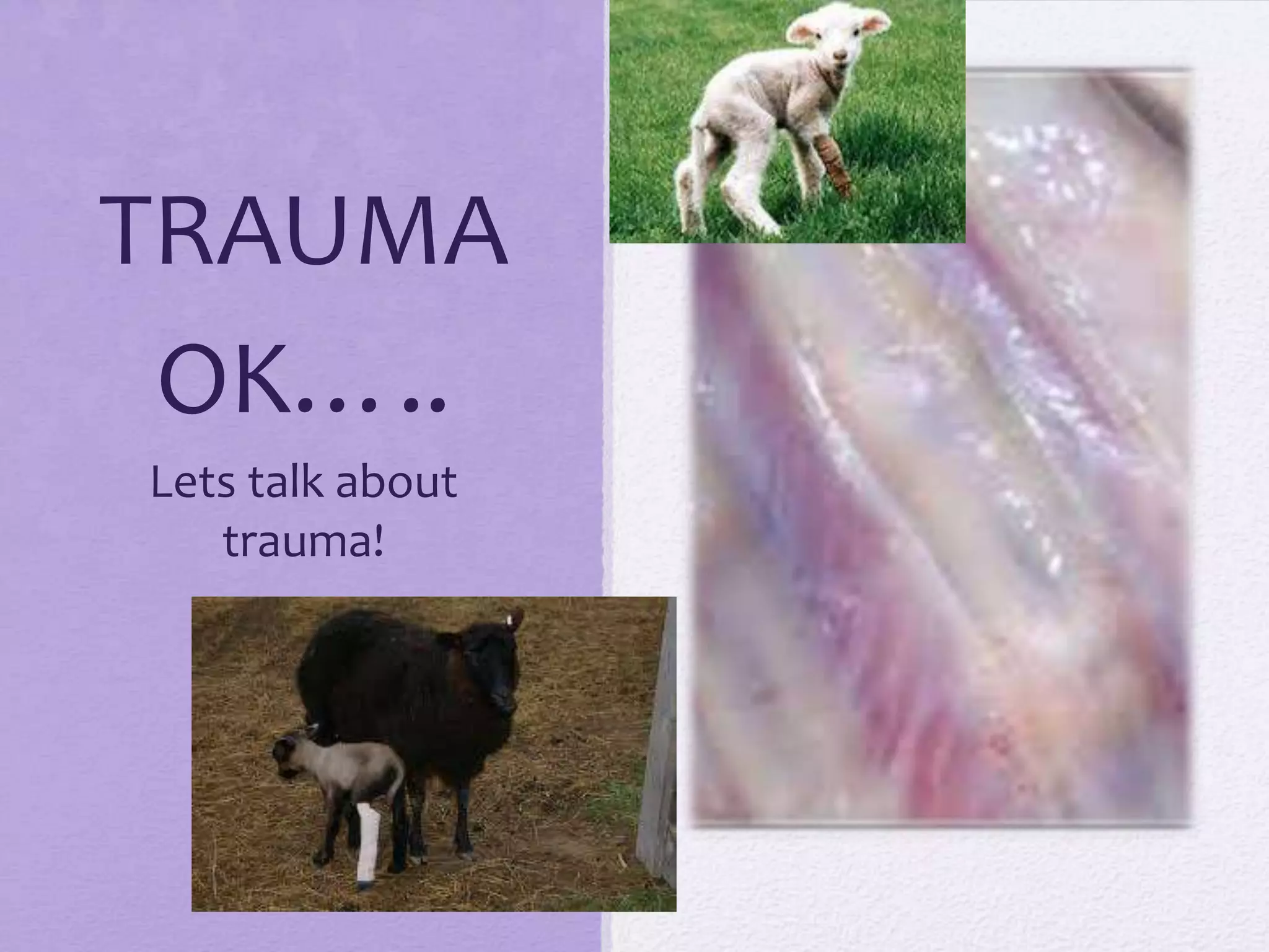 TRAUMA
OK…..
Lets talk about
trauma!

 