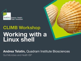 CLIMB Workshop
Andrea Telatin, Quadram Institute Biosciences
Working with a
Linux shell
Gut Microbes and Health ISP
 