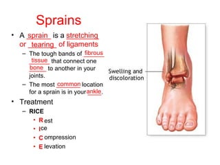 Sprains
• A ______ is a ________
or _______ of ligaments
– The tough bands of ______
______ that connect one
_____ to another in your
joints.
– The most _______ location
for a sprain is in your ____.
• Treatment
– RICE
• R
• I
• C
• E
sprain stretching
tearing
fibrous
tissue
bone
common
ankle
est
ce
ompression
levation
 