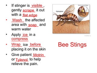 Bee Stings
• If stinger is ______,
gently ______ it out
with a _______
• ______ the affected
area with _____ and
warm water
• Apply ___ in a
________
• _____ ice ______
placing it on the skin
• Give patient ______
or ______ to help
relieve the pain.
visible
scrape
flat edge
Wash
soap
ice
compress
Wrap before
Motrin
Tylenol
 