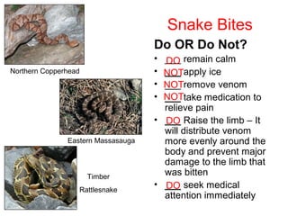 Snake Bites
Do OR Do Not?
• ___ remain calm
• ___ apply ice
• ___ remove venom
• ___ take medication to
relieve pain
• ___ Raise the limb – It
will distribute venom
more evenly around the
body and prevent major
damage to the limb that
was bitten
• ___ seek medical
attention immediately
Northern Copperhead
Eastern Massasauga
Timber
Rattlesnake
DO
NOT
NOT
NOT
DO
DO
 
