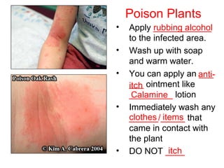 Poison Plants
• Apply ____________
to the infected area.
• Wash up with soap
and warm water.
• You can apply an ___
___ ointment like
_________ lotion
• Immediately wash any
______/_____ that
came in contact with
the plant
• DO NOT ____
rubbing alcohol
anti-
itch
Calamine
clothes items
itch
 