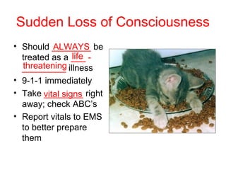 Sudden Loss of Consciousness
• Should ________ be
treated as a ___ -
_________ illness
• 9-1-1 immediately
• Take ________ right
away; check ABC’s
• Report vitals to EMS
to better prepare
them
ALWAYS
life
threatening
vital signs
 