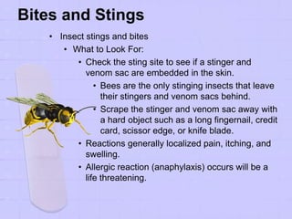 Bites and Stings
• Insect stings and bites
• What to Look For:
• Check the sting site to see if a stinger and
venom sac are embedded in the skin.
• Bees are the only stinging insects that leave
their stingers and venom sacs behind.
• Scrape the stinger and venom sac away with
a hard object such as a long fingernail, credit
card, scissor edge, or knife blade.
• Reactions generally localized pain, itching, and
swelling.
• Allergic reaction (anaphylaxis) occurs will be a
life threatening.
 