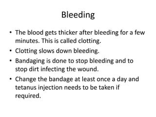 Bleeding
• The blood gets thicker after bleeding for a few
minutes. This is called clotting.
• Clotting slows down bleeding.
• Bandaging is done to stop bleeding and to
stop dirt infecting the wound.
• Change the bandage at least once a day and
tetanus injection needs to be taken if
required.
 