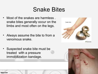 Snake Bites
• Most of the snakes are harmless .
snake bites generally occur on the
limbs and most often on the legs.
• Always assume the bite to from a
venomous snake.
• Suspected snake bite must be
treated with a pressure
immobilization bandage.
 