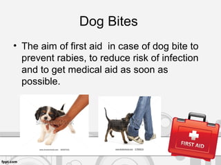 Dog Bites
• The aim of first aid in case of dog bite to
prevent rabies, to reduce risk of infection
and to get medical aid as soon as
possible.
 