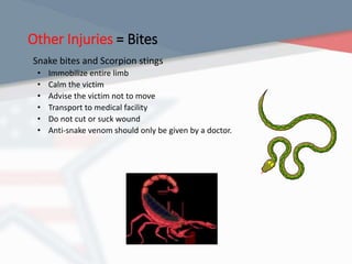 Other Injuries = Bites
Snake bites and Scorpion stings
• Immobilize entire limb
• Calm the victim
• Advise the victim not to move
• Transport to medical facility
• Do not cut or suck wound
• Anti-snake venom should only be given by a doctor.
 