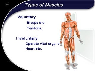 139
Voluntary
Biceps etc.
Tendons
Types of Muscles
Involuntary
Operate vital organs
Heart etc.
139
© 2002 Abertay Nationwide Training
 