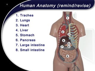 8
Human Anatomy (remind/revise)
1. Trachea
2. Lungs
3. Heart
4. Liver
5. Stomach
6. Pancreas
7. Large intestine
8. Small intestine
1
3
4
2
5
67
8
8
© 2002 Abertay Nationwide Training
 