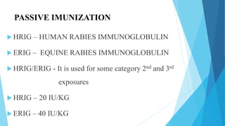 Erig Shot Rabies First aid | PPTX