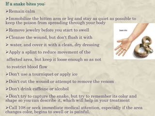 If a snake bites you:
Remain calm
Immobilize the bitten arm or leg and stay as quiet as possible to
keep the poison from spreading through your body
Remove jewelry before you start to swell
Cleanse the wound, but don't flush it with
 water, and cover it with a clean, dry dressing
Apply a splint to reduce movement of the
affected area, but keep it loose enough so as not
to restrict blood flow
Don't use a tourniquet or apply ice
Don't cut the wound or attempt to remove the venom
Don't drink caffeine or alcohol
Don't try to capture the snake, but try to remember its color and
shape so you can describe it, which will help in your treatment
Call 108 or seek immediate medical attention, especially if the area
changes color, begins to swell or is painful.
 