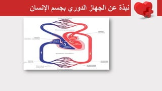 ‫اإلنسان‬ ‫بجسم‬ ‫الدوري‬ ‫الجهاز‬ ‫عن‬ ‫نبذة‬
 