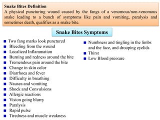 Snake Bites Definition
A physical puncturing wound caused by the fangs of a venomous/non-venomous
snake leading to a bunch of symptoms like pain and vomiting, paralysis and
sometimes death, qualifies as a snake bite.
Snake Bites Symptoms
Two fang marks look punctured
Bleeding from the wound
Localized Inflammation
Burning and redness around the bite
Tremendous pain around the bite
Change in skin color
Diarrhoea and fever
Difficulty in breathing
Nausea and vomiting
Shock and Convulsions
Allergic reactions
Vision going blurry
Paralysis
Rapid pulse
Tiredness and muscle weakness
Numbness and tingling in the limbs
and the face, and drooping eyelids
Thirst
Low Blood pressure
 