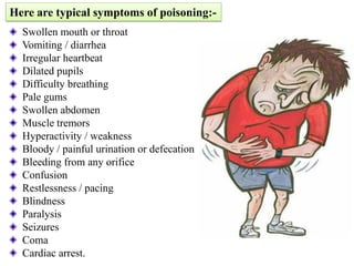 Swollen mouth or throat
Vomiting / diarrhea
Irregular heartbeat
Dilated pupils
Difficulty breathing
Pale gums
Swollen abdomen
Muscle tremors
Hyperactivity / weakness
Bloody / painful urination or defecation
Bleeding from any orifice
Confusion
Restlessness / pacing
Blindness
Paralysis
Seizures
Coma
Cardiac arrest.
Here are typical symptoms of poisoning:-
 