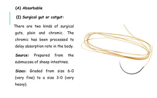 (A) Absorbable
(I) Surgical gut or catgut:
There are two kinds of surgical
guts, plain and chromic. The
chromic has been processed to
delay absorption rate in the body.
Source: Prepared from the
submucosa of sheep intestines.
Sizes: Graded from size 6-0
(very fine) to a size 3-0 (very
heavy).
 