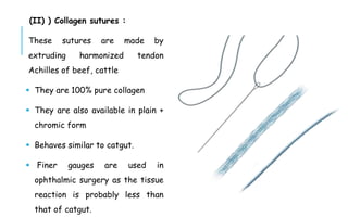 (II) ) Collagen sutures :
These sutures are made by
extruding harmonized tendon
Achilles of beef, cattle
 They are 100% pure collagen
 They are also available in plain +
chromic form
 Behaves similar to catgut.
 Finer gauges are used in
ophthalmic surgery as the tissue
reaction is probably less than
that of catgut.
 